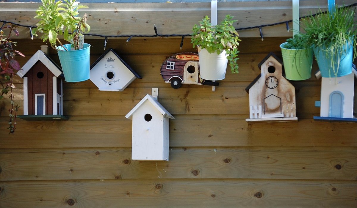 Distinguishing Swifts from Swallows and House Martins
